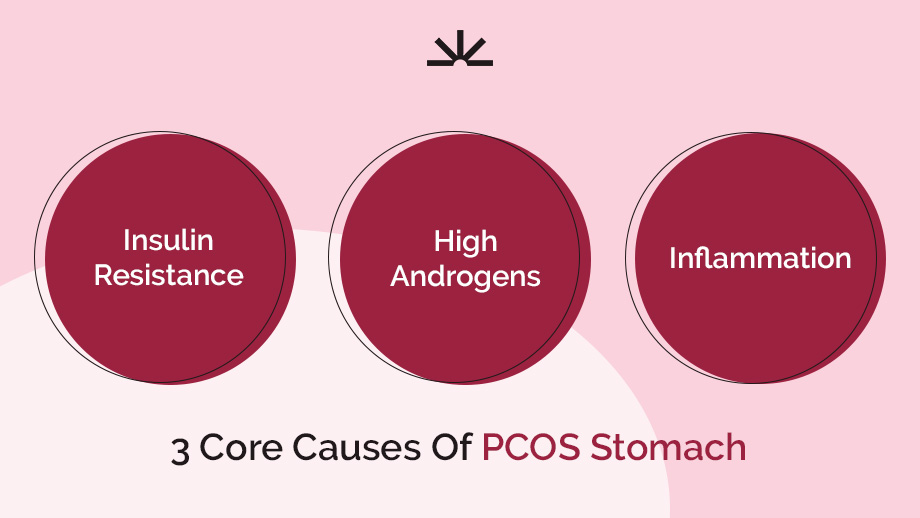 Core Causes of PCOS Stomach